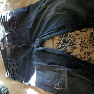 Loft Ladies Skinny Jeans